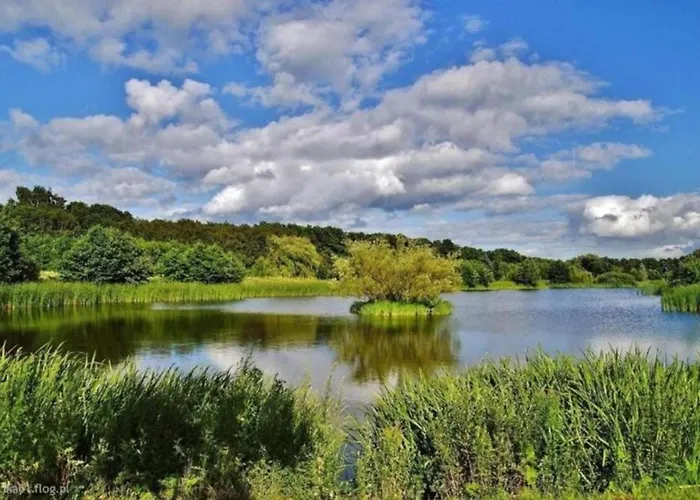 Sloneczny Dla 6 Osob * グダニスク