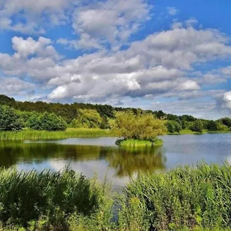 Sloneczny Dla 6 Osob * Gdansk